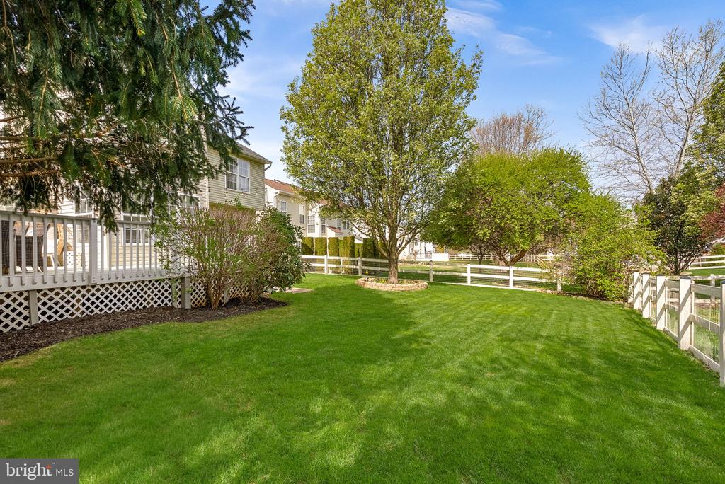 35786 CHAPEL HILL COURT