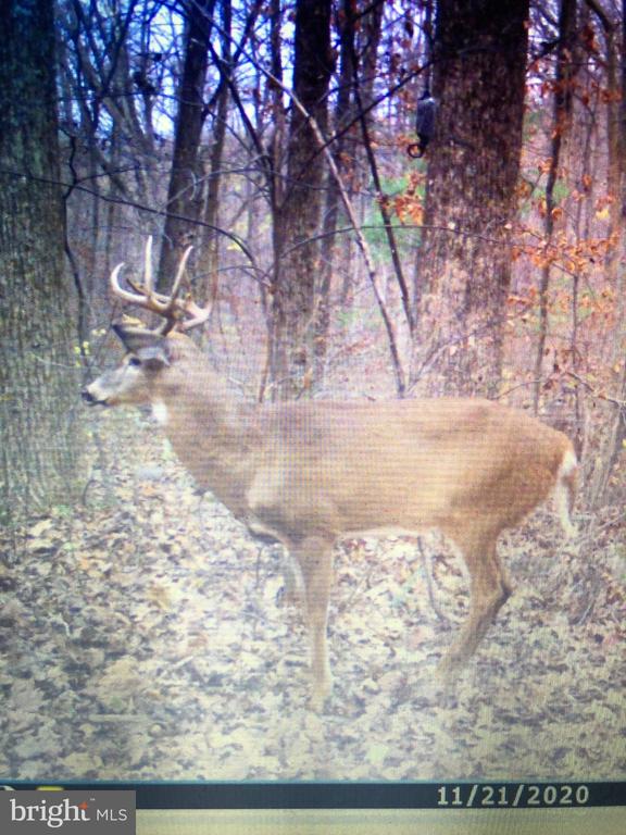 2250 JEWELL HOLLOW ROAD