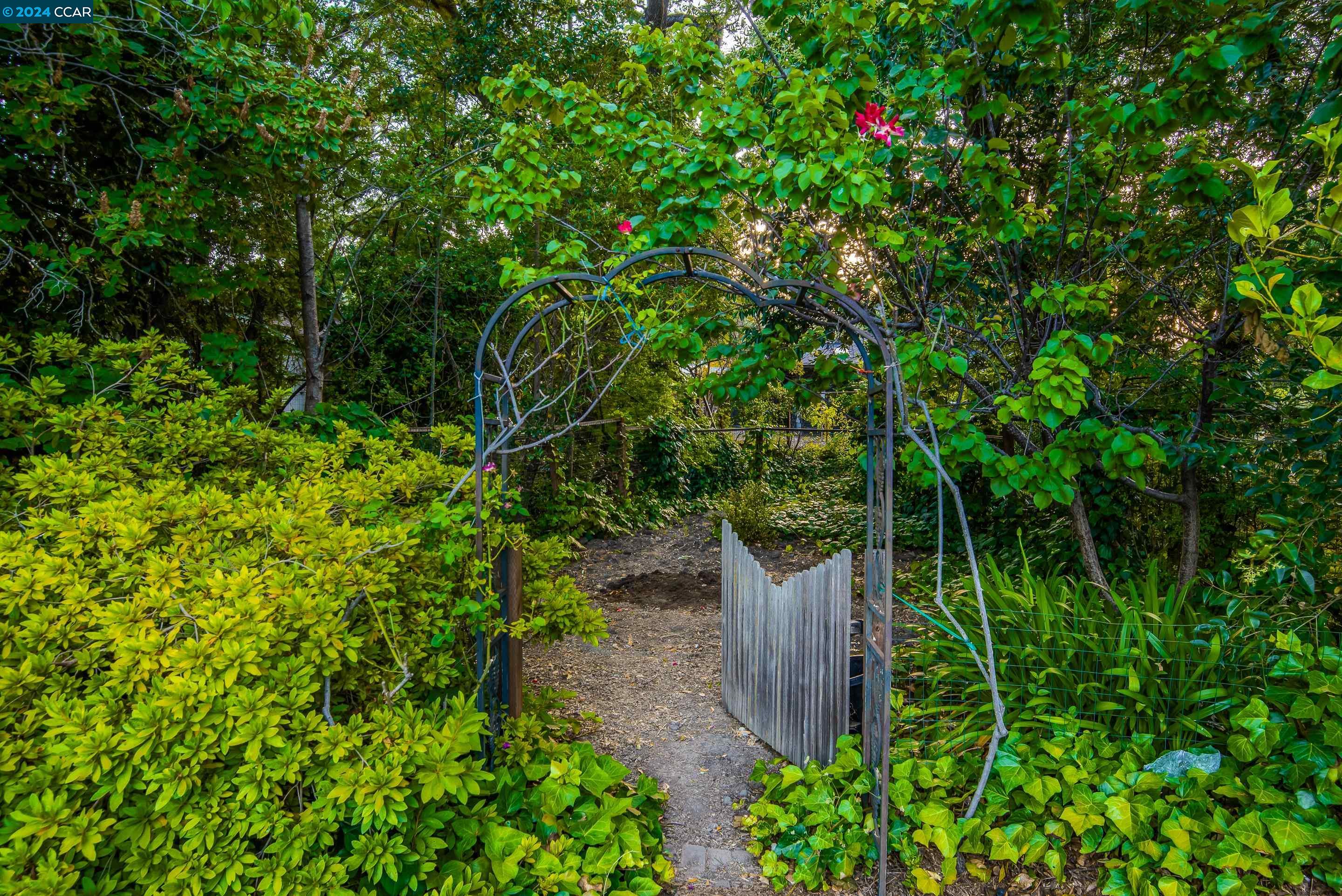 The Lafayette Trails