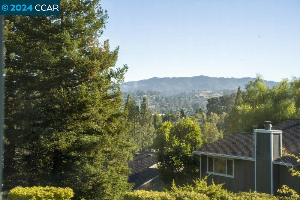 4813 Starflower Drive