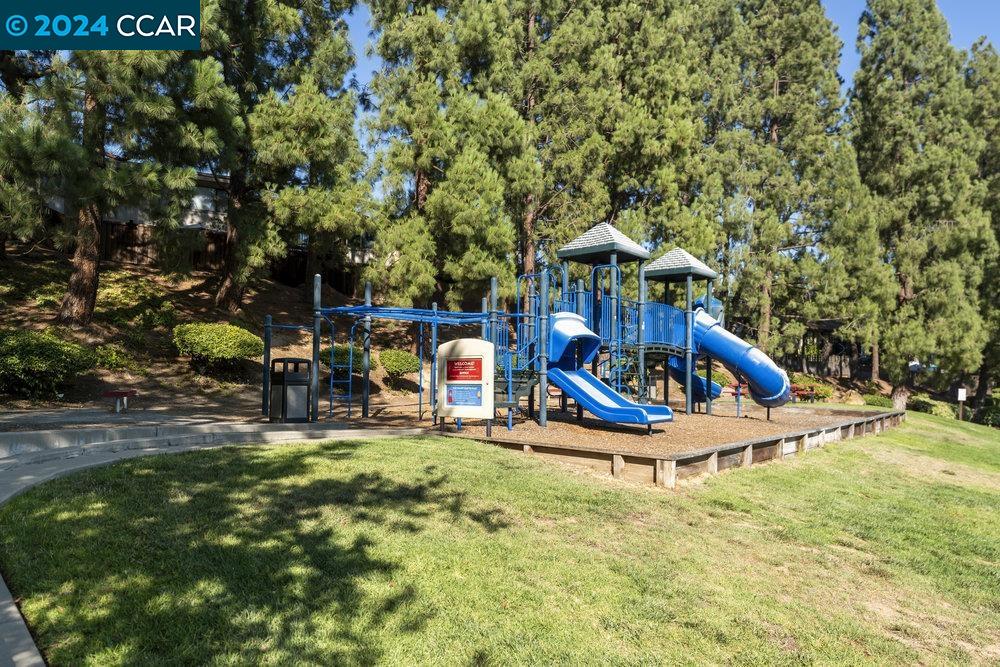 4813 Starflower Drive