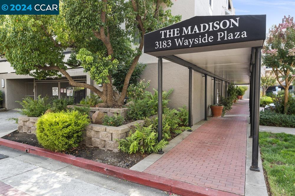 3183 Wayside Plaza # 202