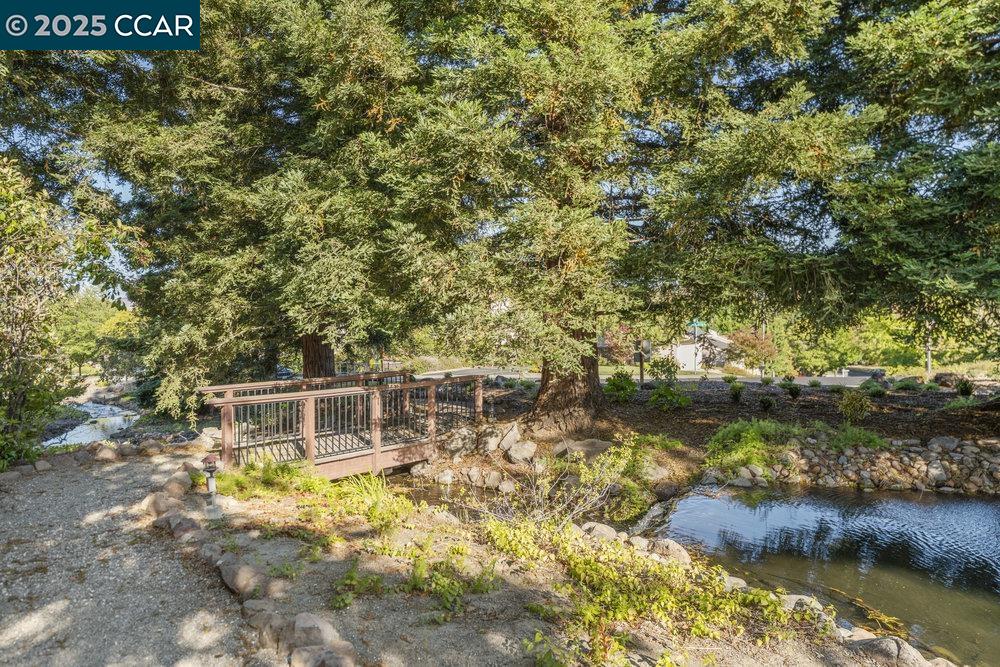 955 Camino Verde Cir