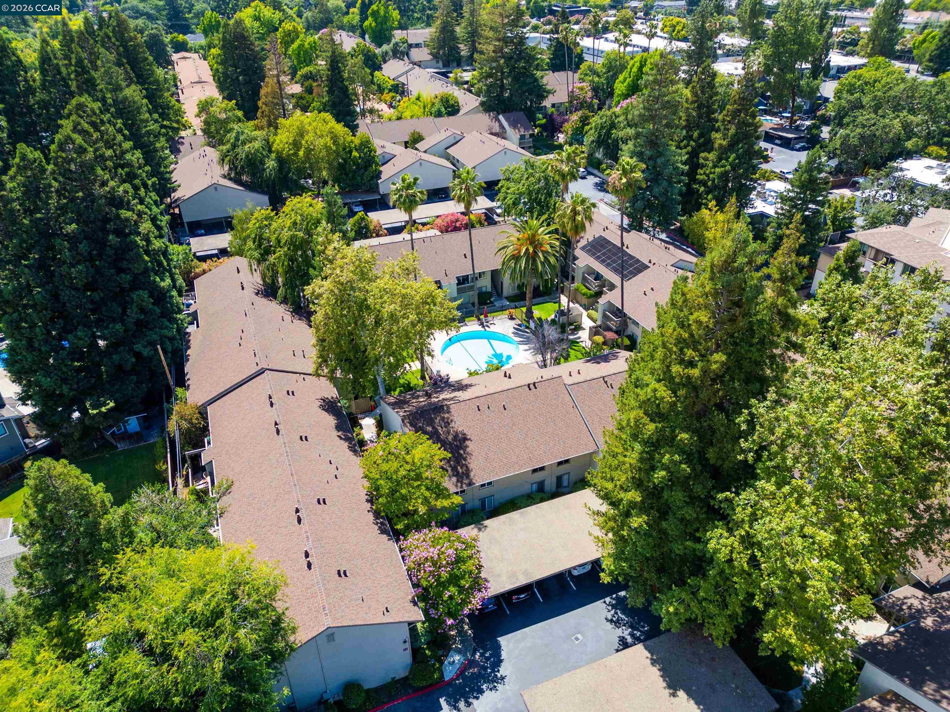 1241 Homestead # 211