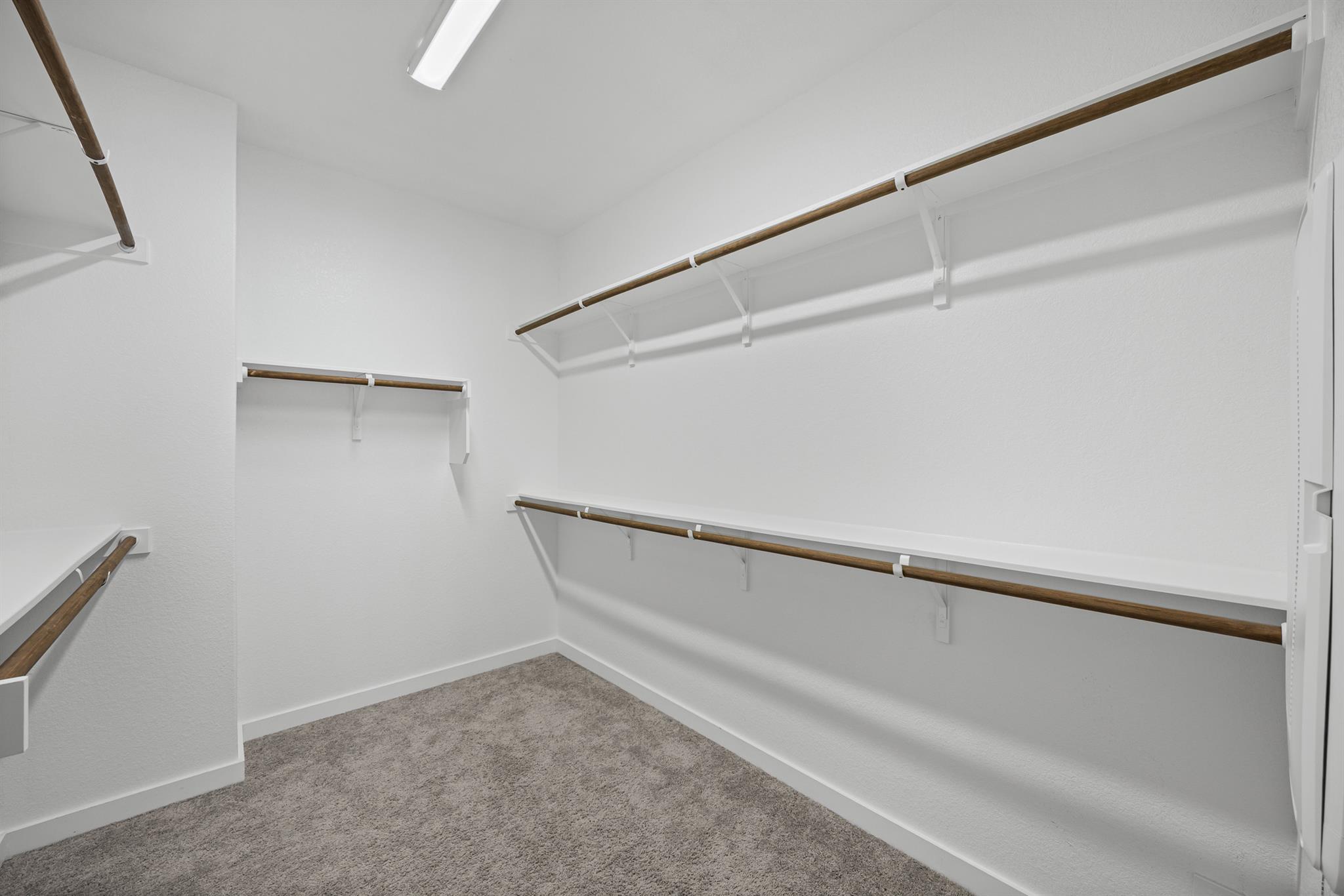 12702 Autumn Bird TRCE