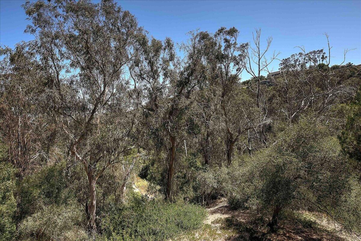 973 Miramonte Drive Unit 4