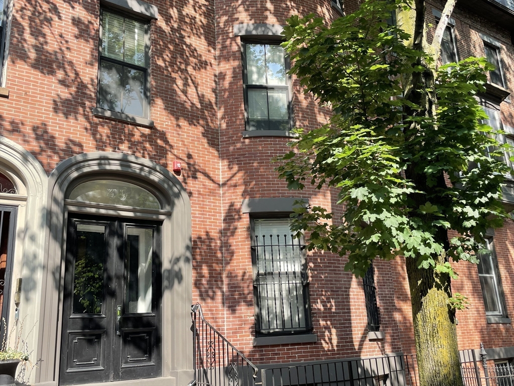 219 West Springfield Street # 5