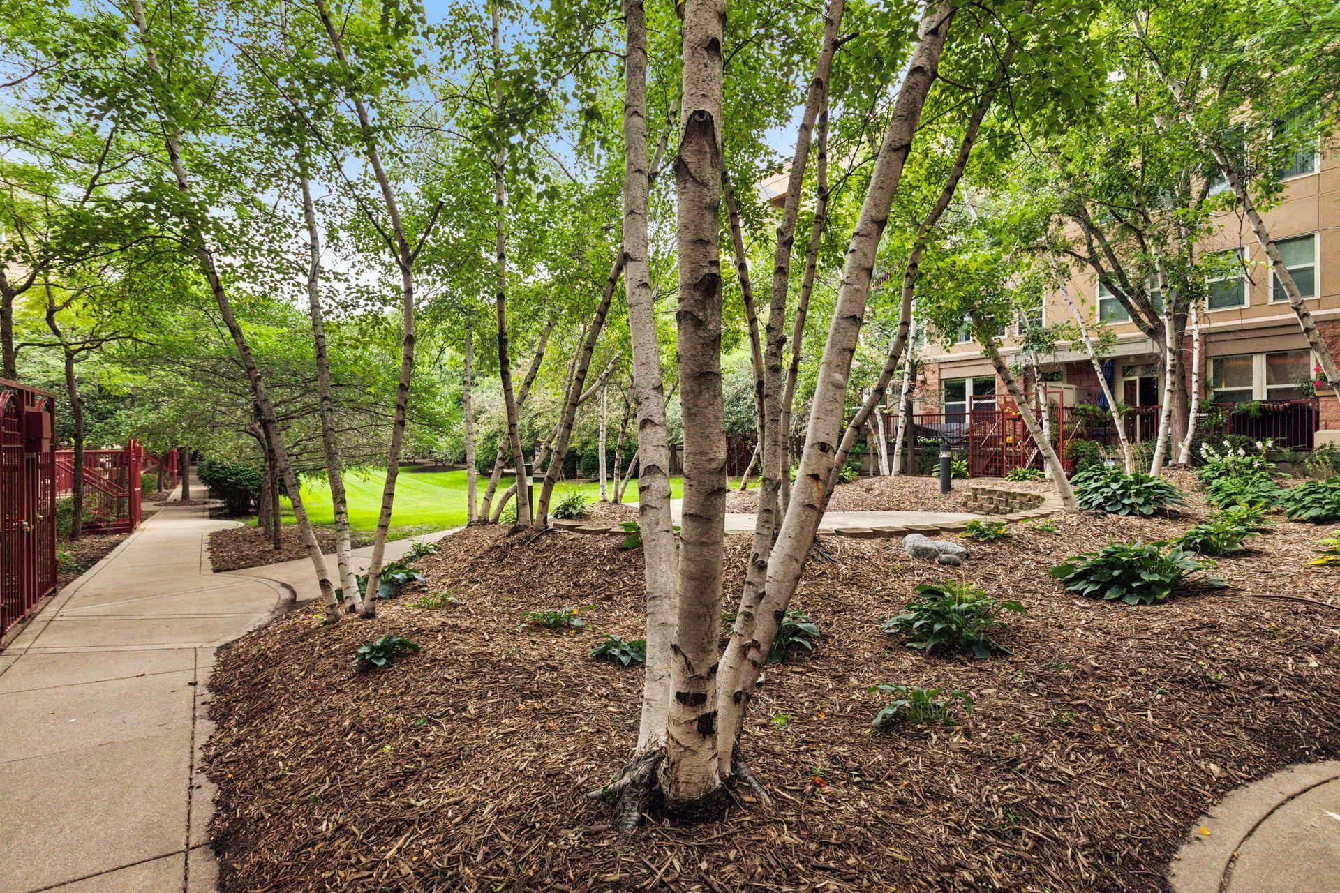 645 N 1st Street Unit: 109