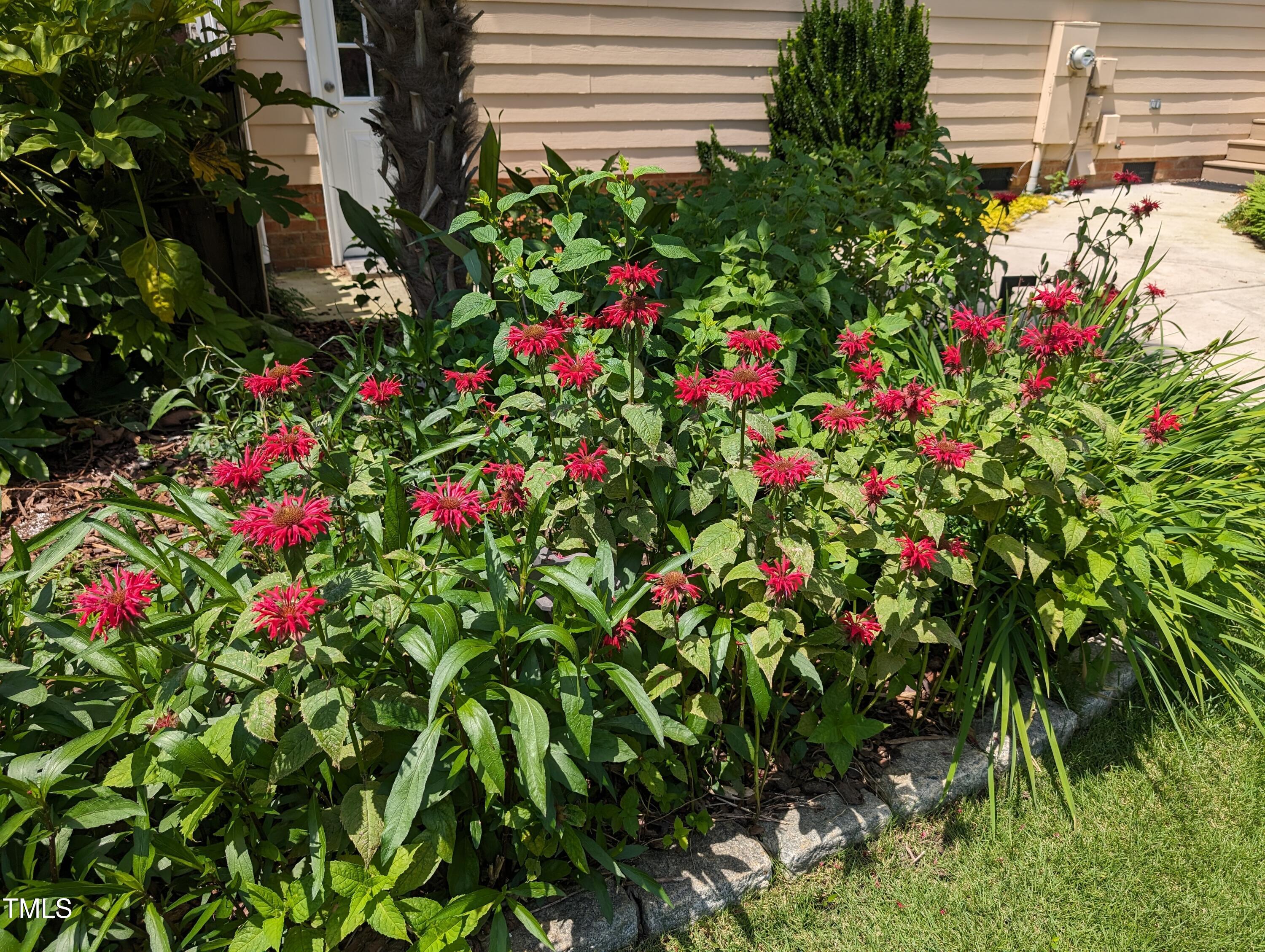 3708 Wesley Ridge Drive