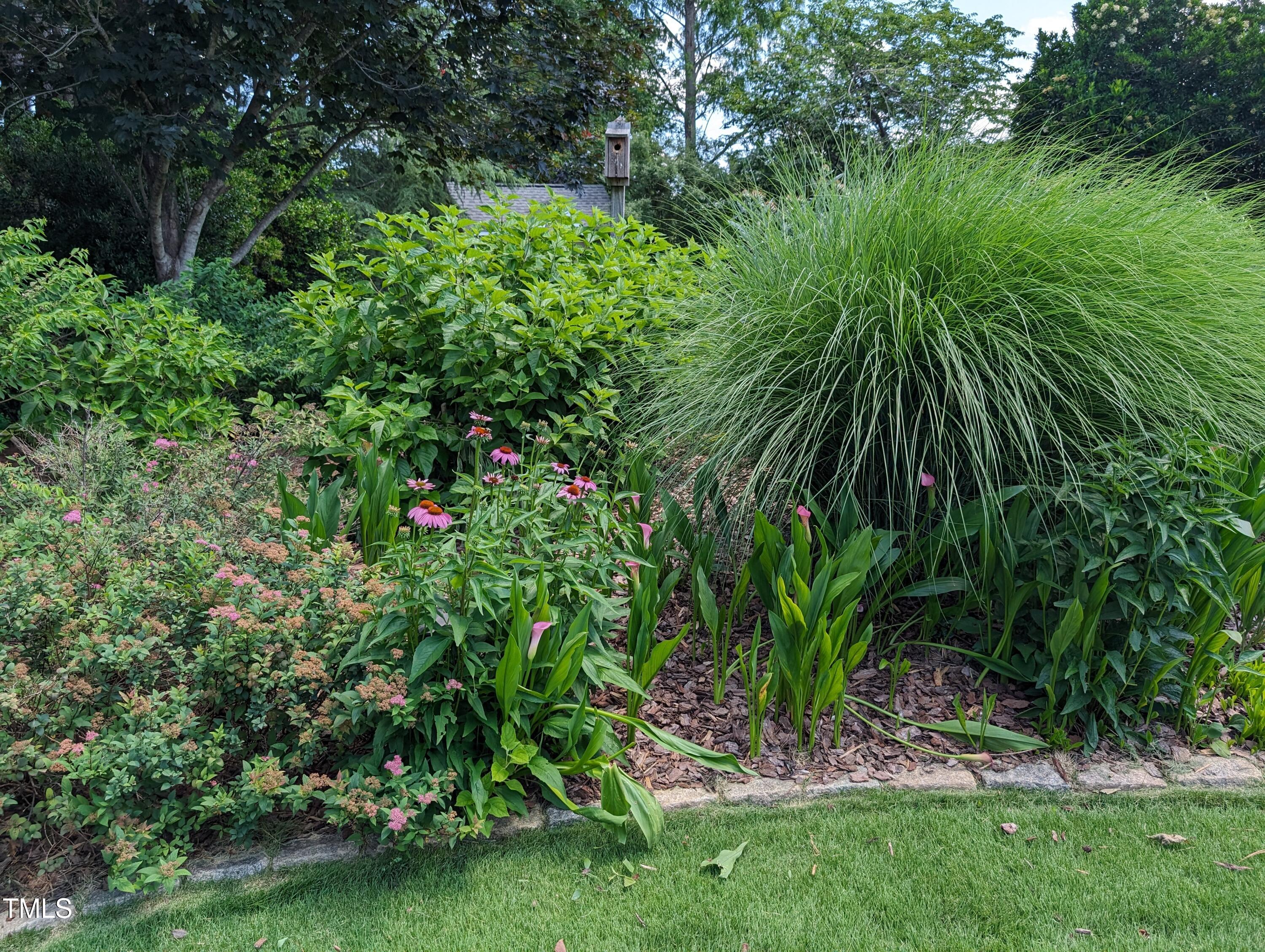 3708 Wesley Ridge Drive