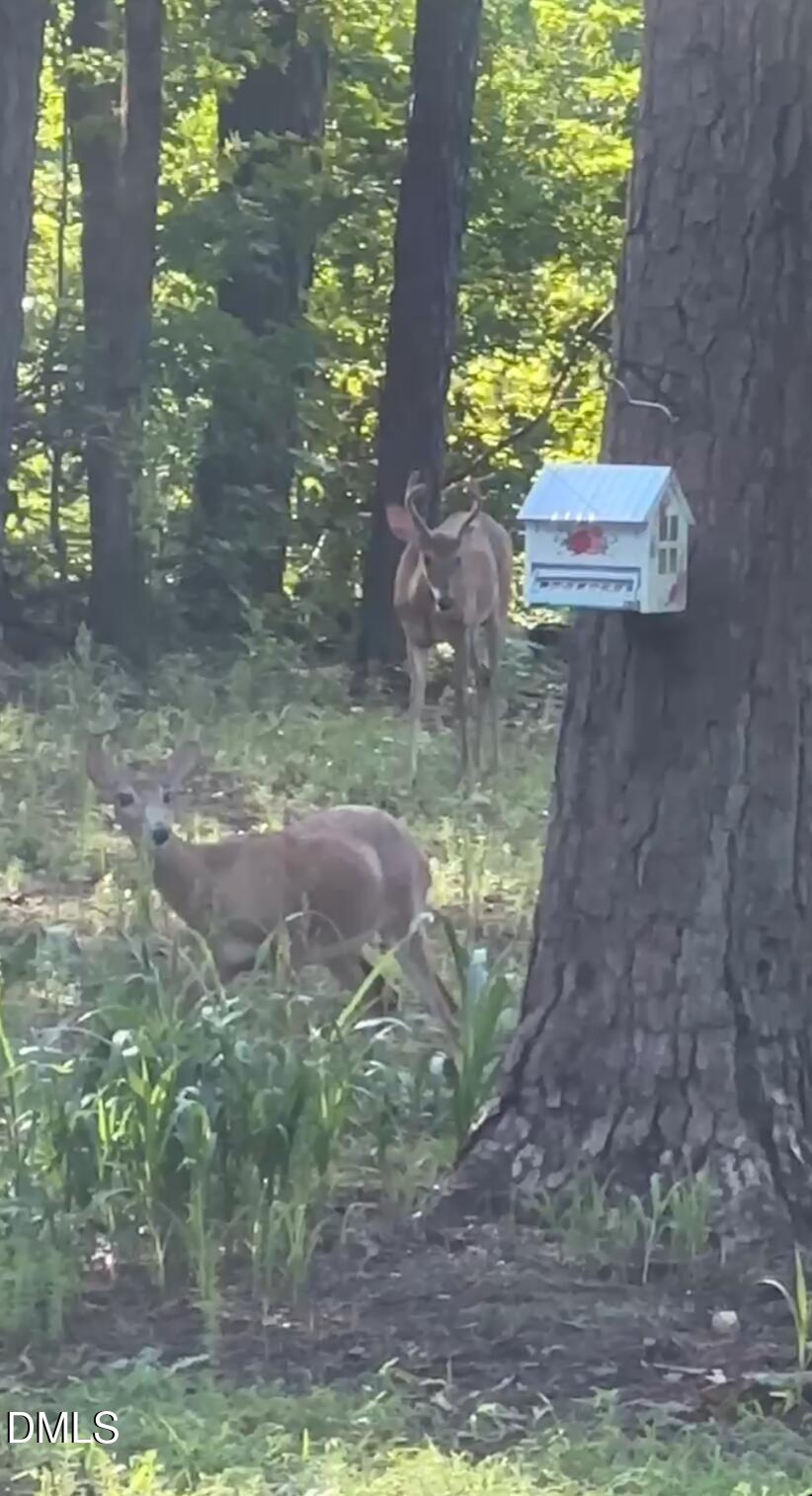 492 Little Mill Road