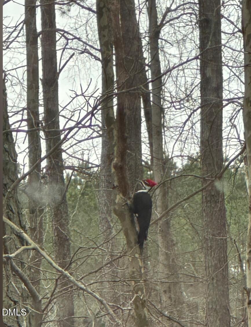 492 Little Mill Road