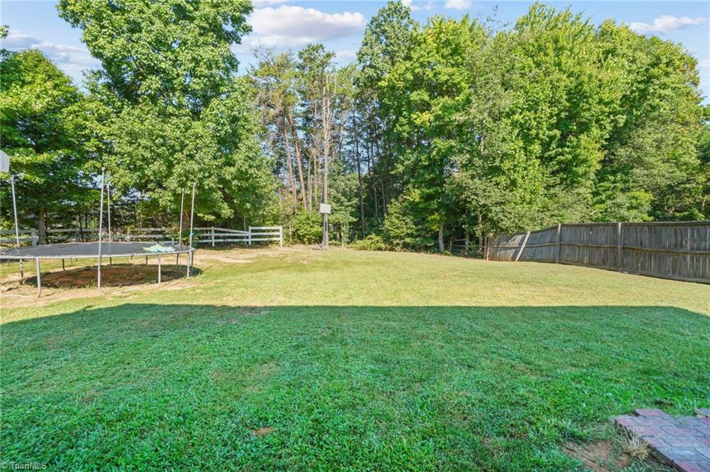 Grassy backyard with a trampoline, wooden fence, and mature trees.