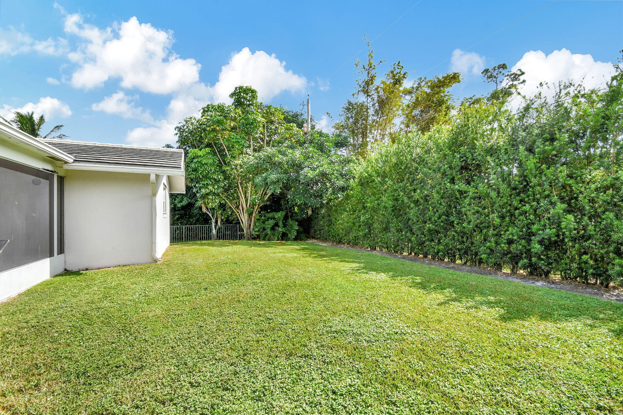 79 W Rubber Tree Drive