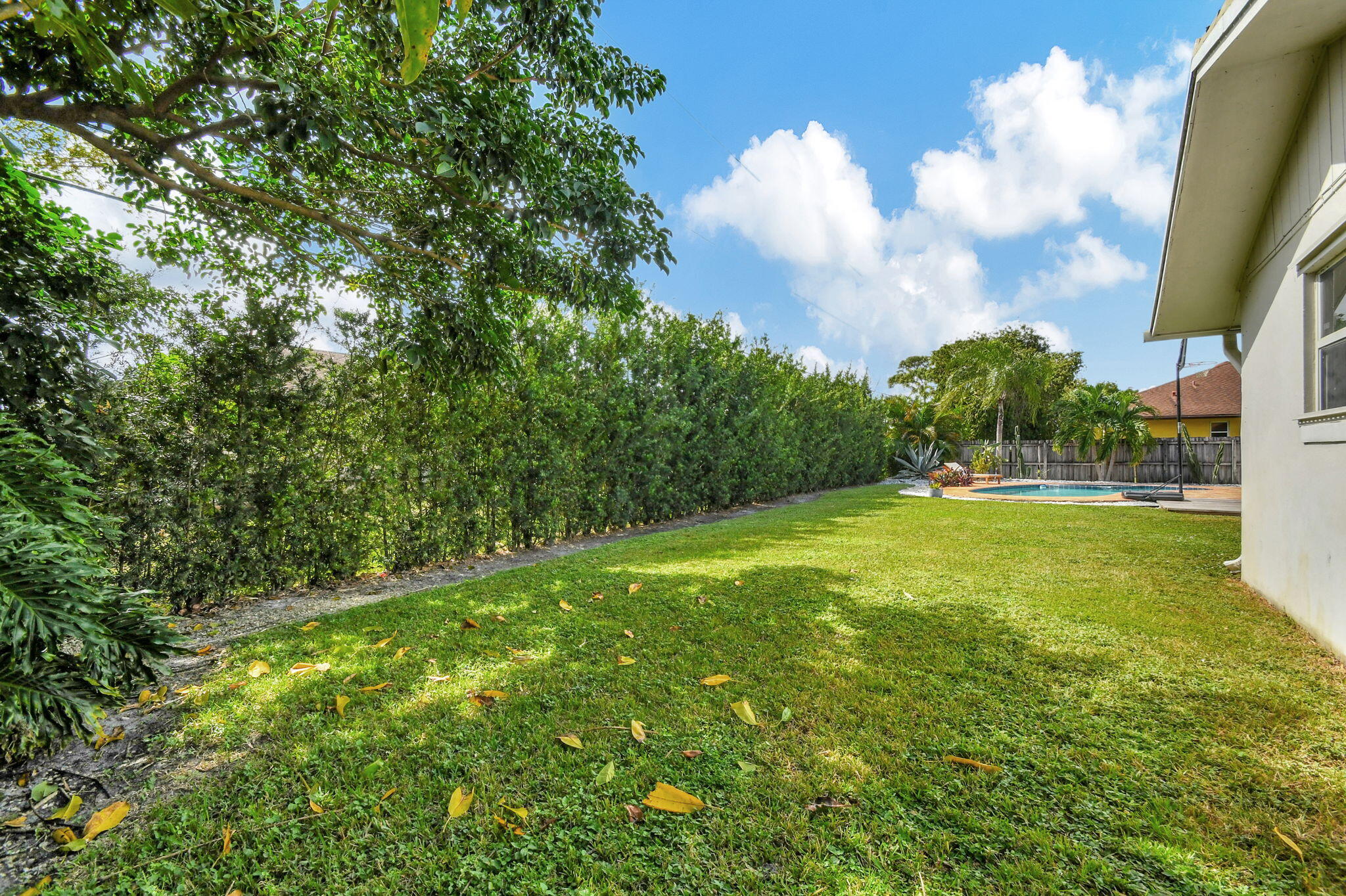 79 W Rubber Tree Drive