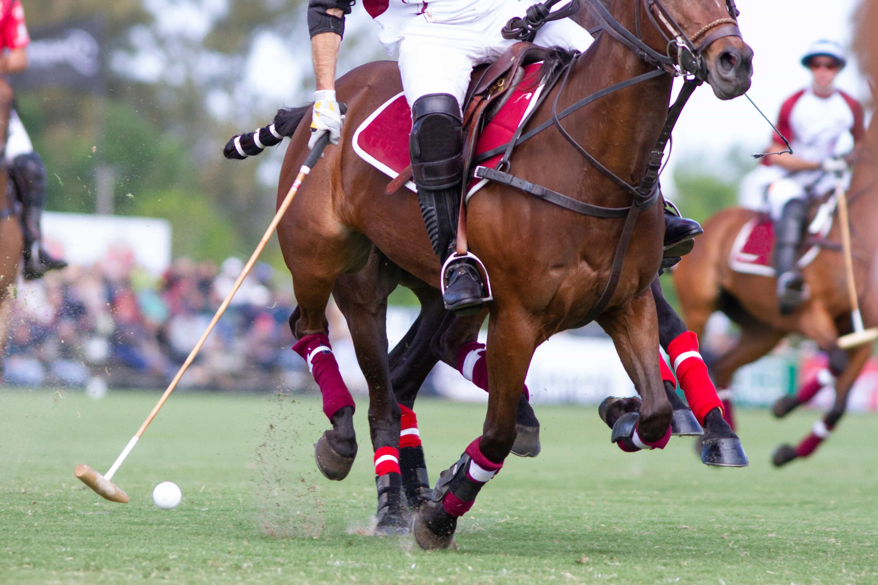 10712 Willow Oak Court