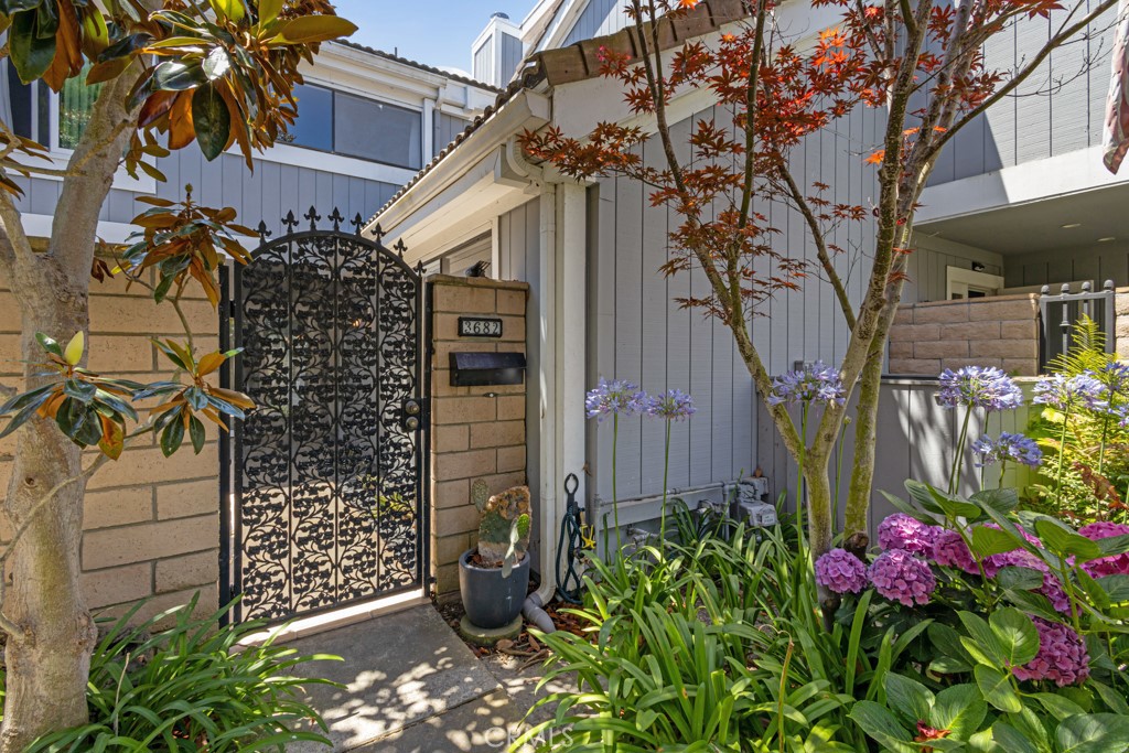 3682 Montego Drive