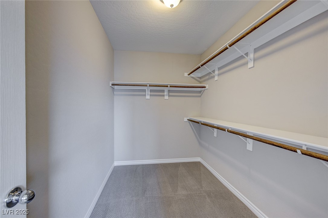 3026 Coveri Court