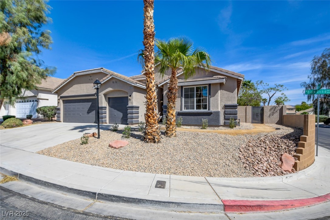8080 Black Orchid Avenue