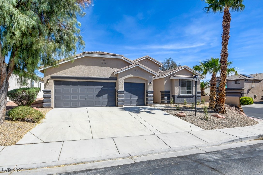 8080 Black Orchid Avenue