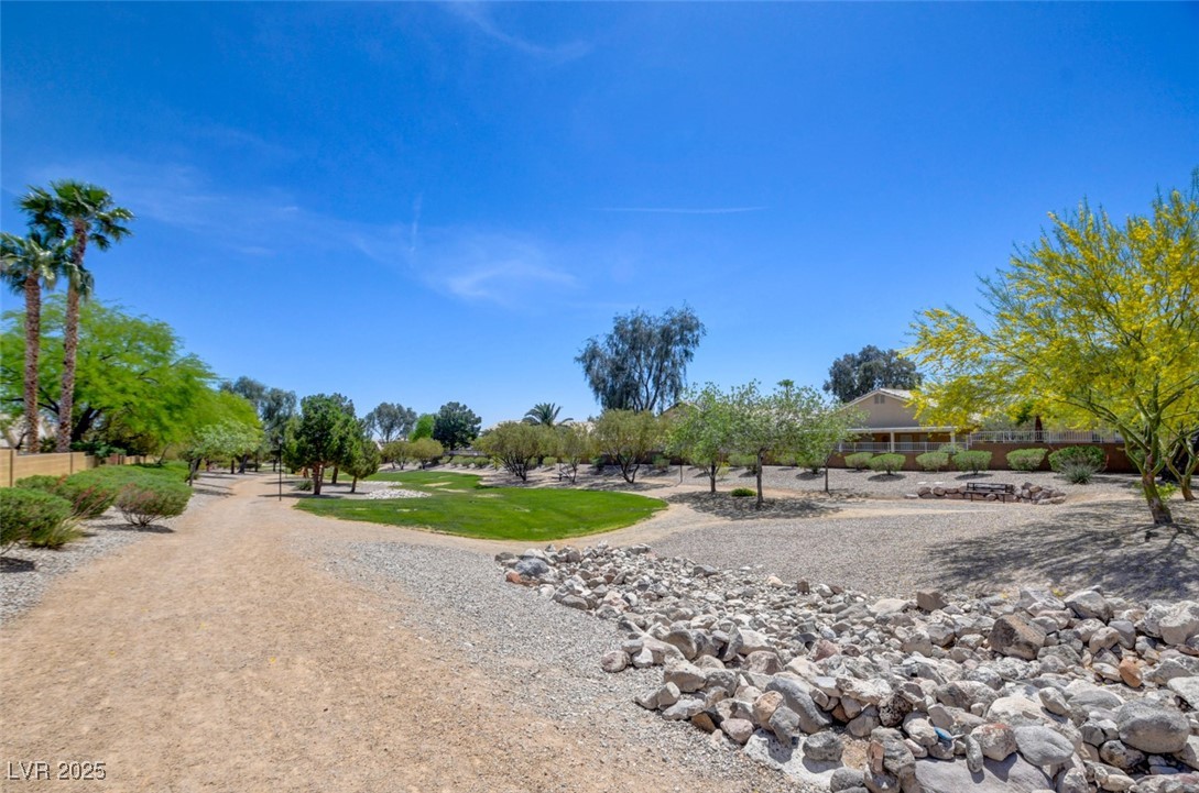 8080 Black Orchid Avenue