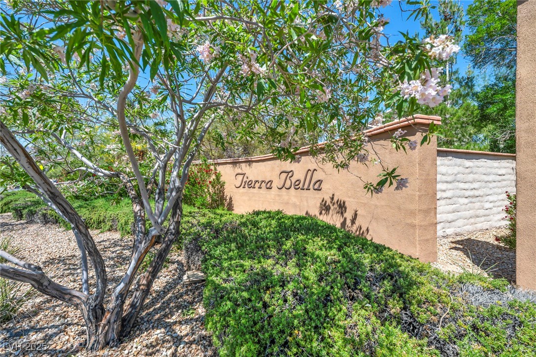 11908 Menchaca Lane