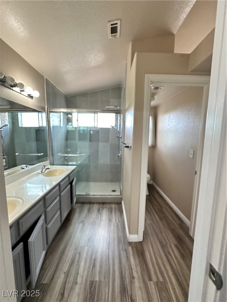 2024 Shining Feather Lane