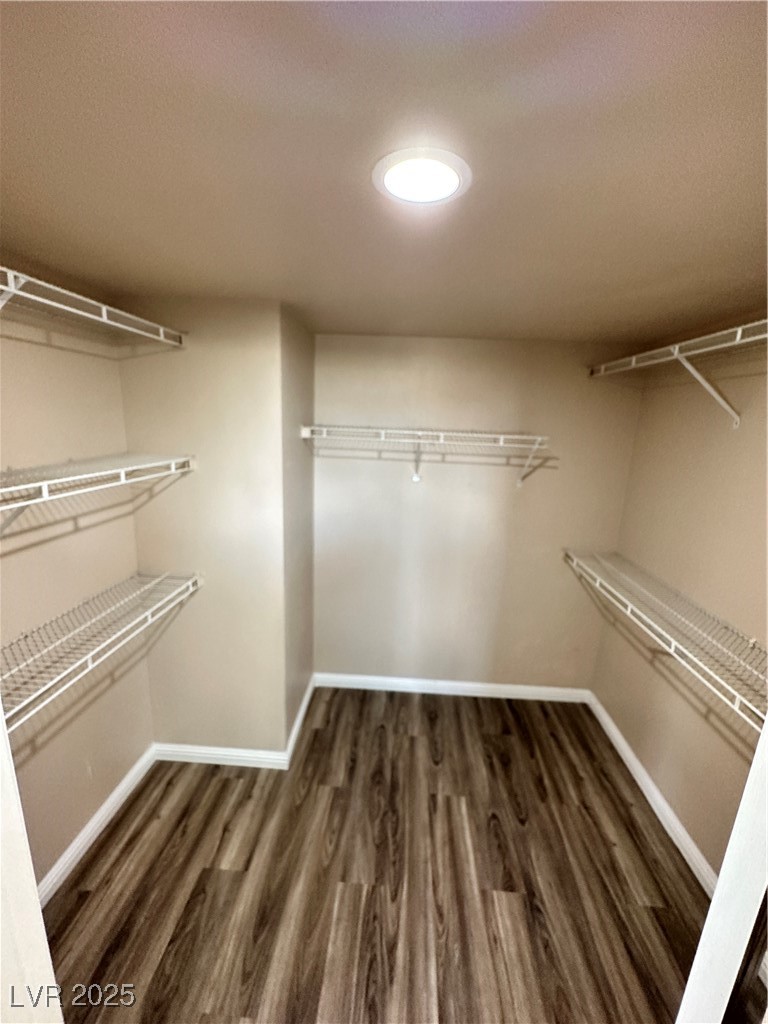 2024 Shining Feather Lane