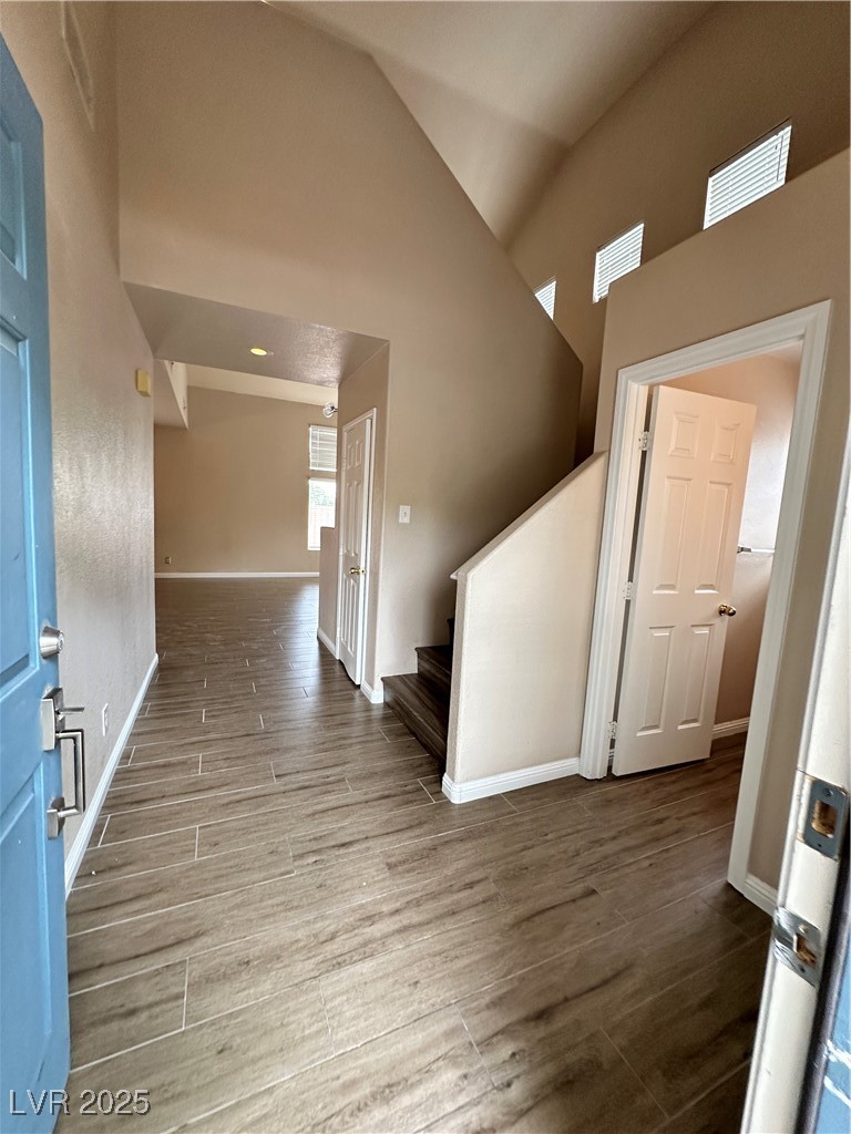 2024 Shining Feather Lane