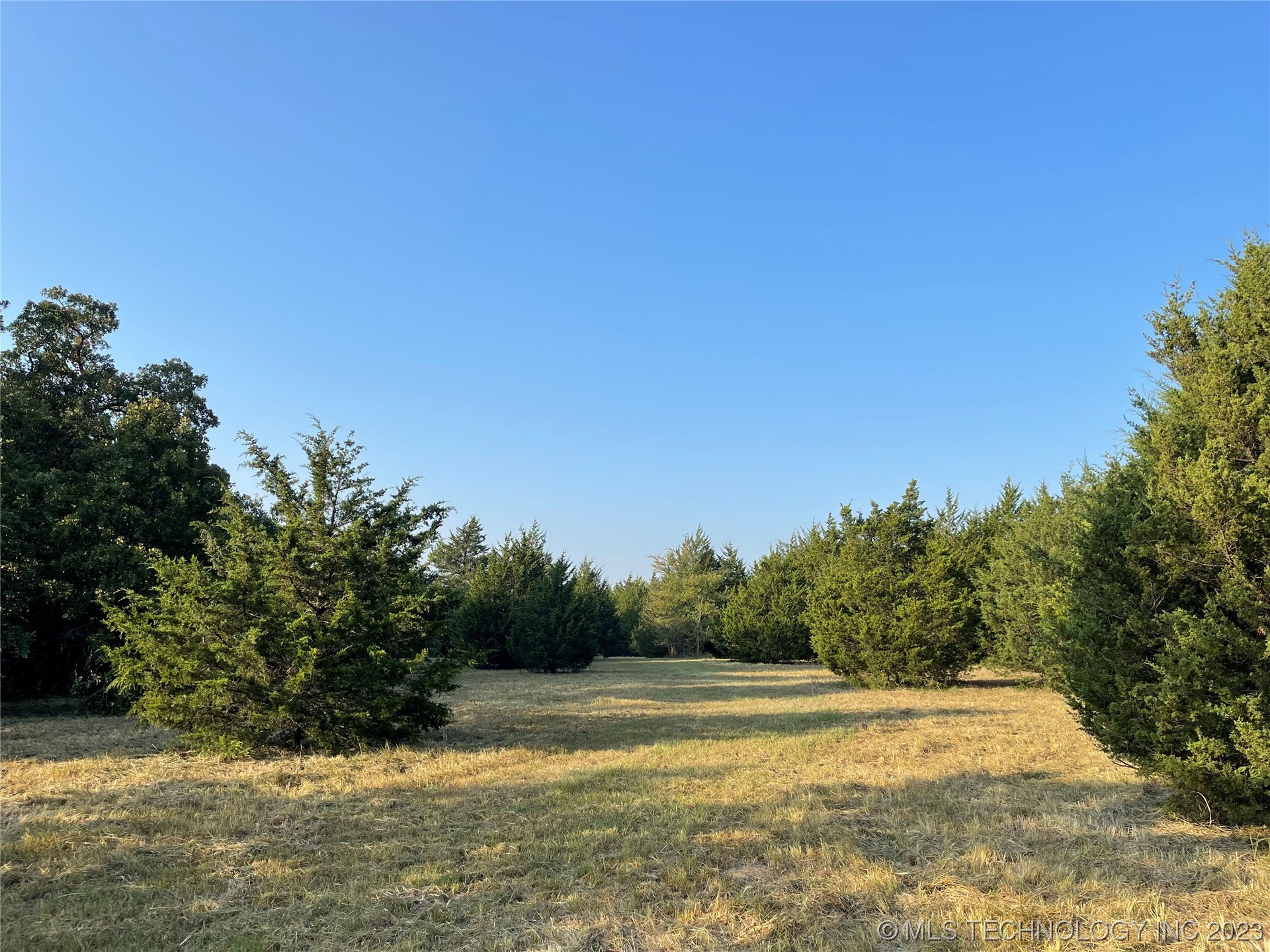 16340 County Road 1565