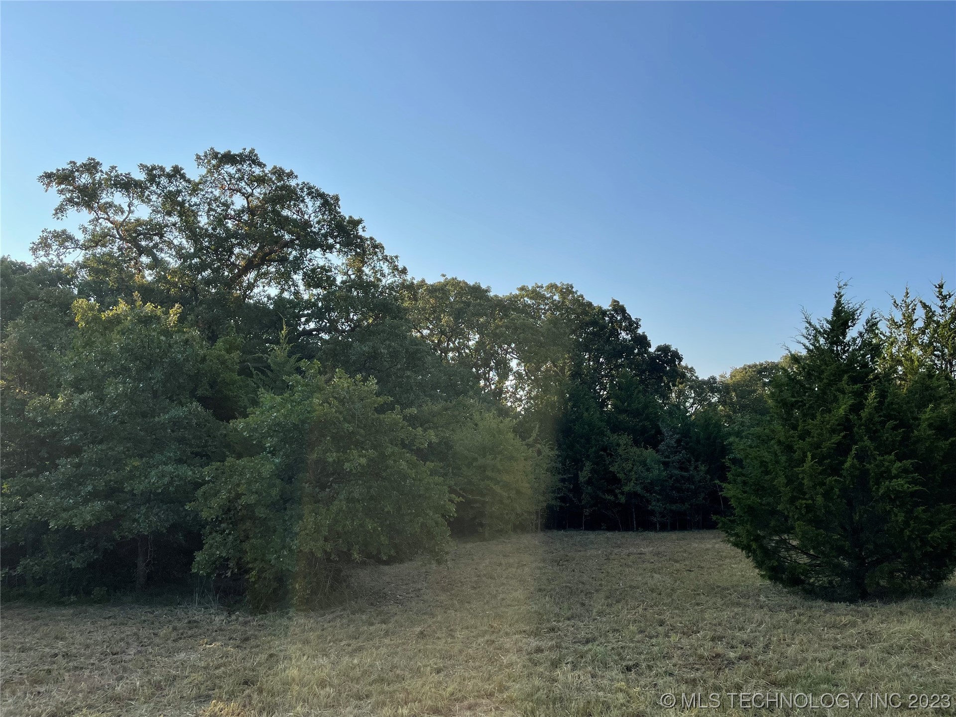 16340 County Road 1565