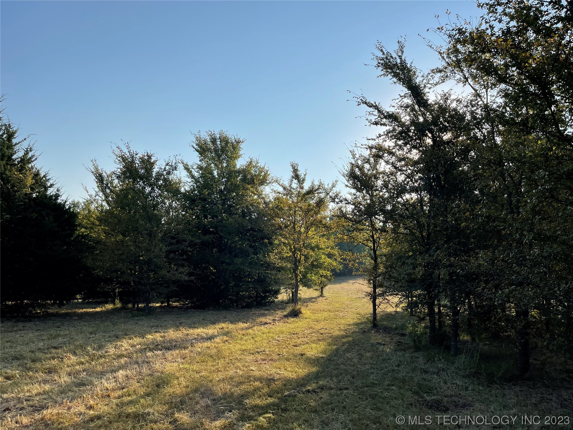 16340 County Road 1565