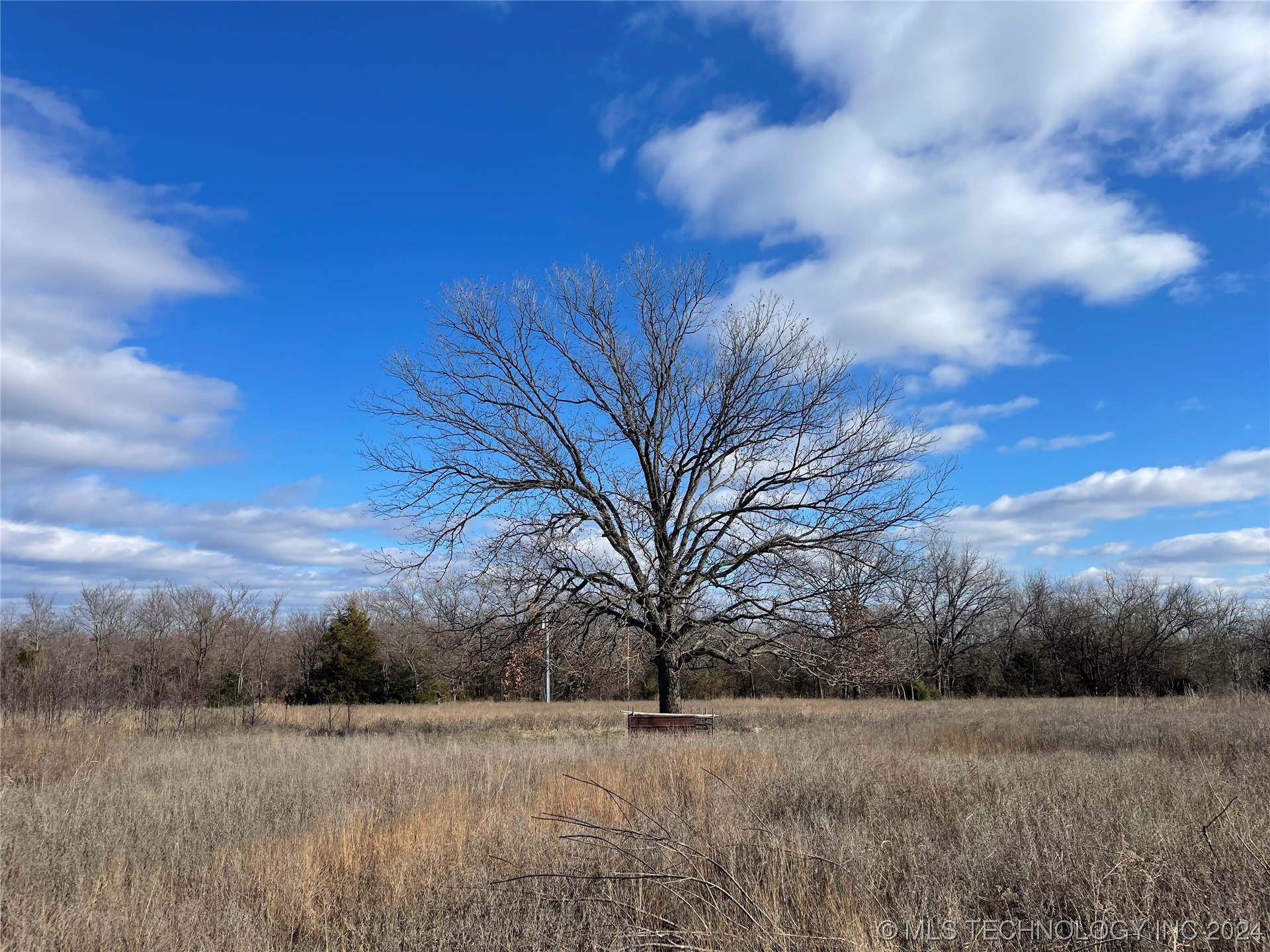 19551 County Road 3652