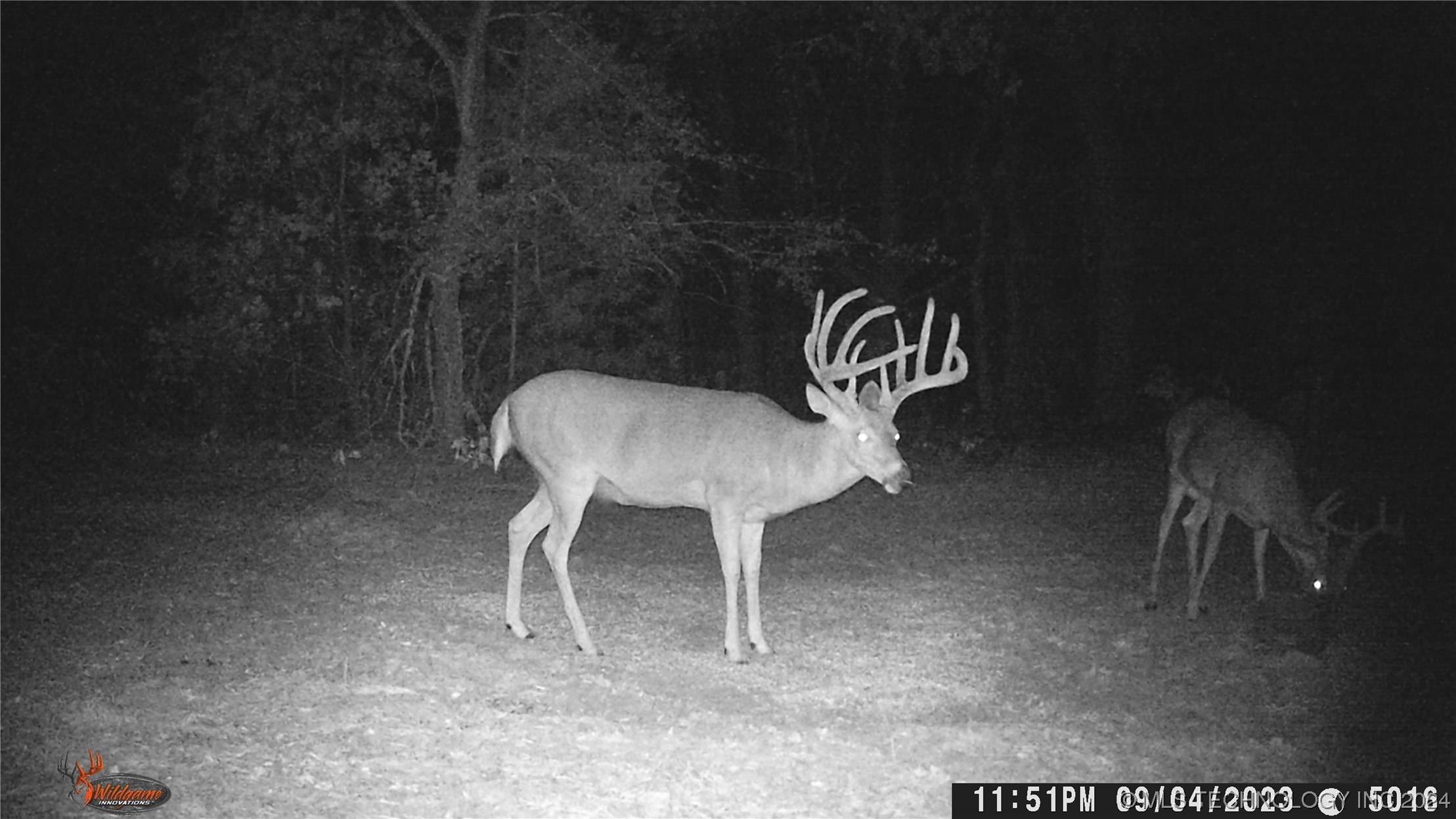 14175 County Road 3590