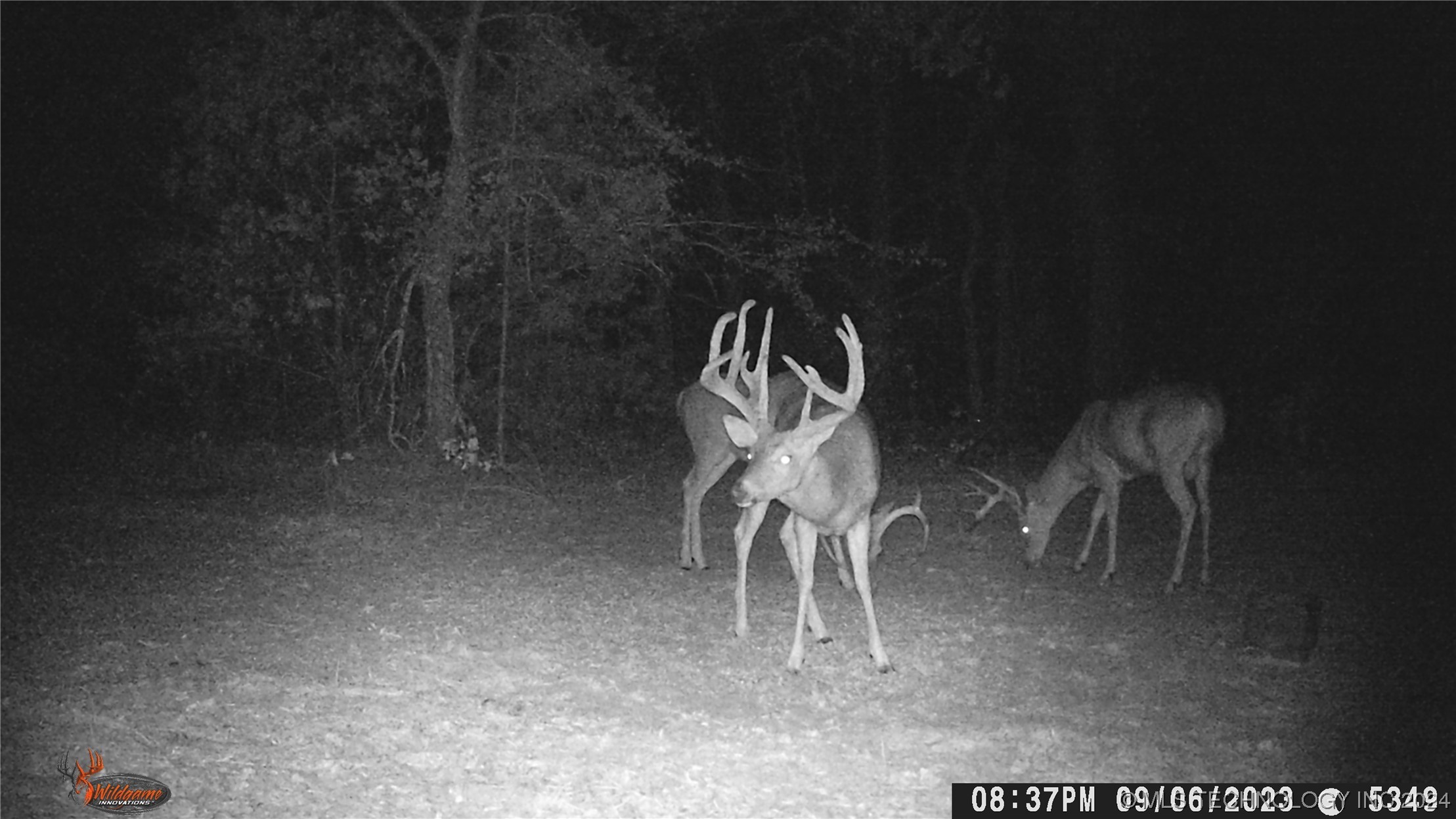 14175 County Road 3590