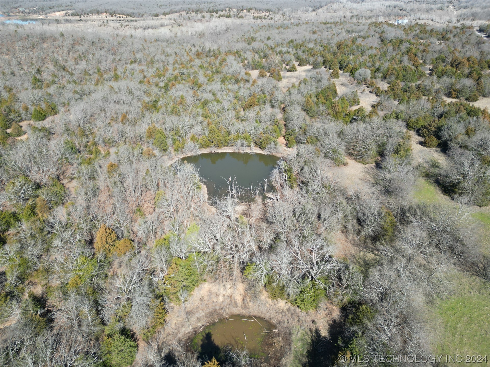 14175 County Road 3590