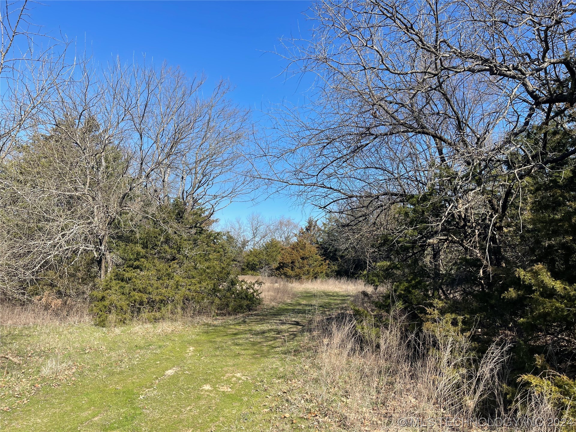 14175 County Road 3590