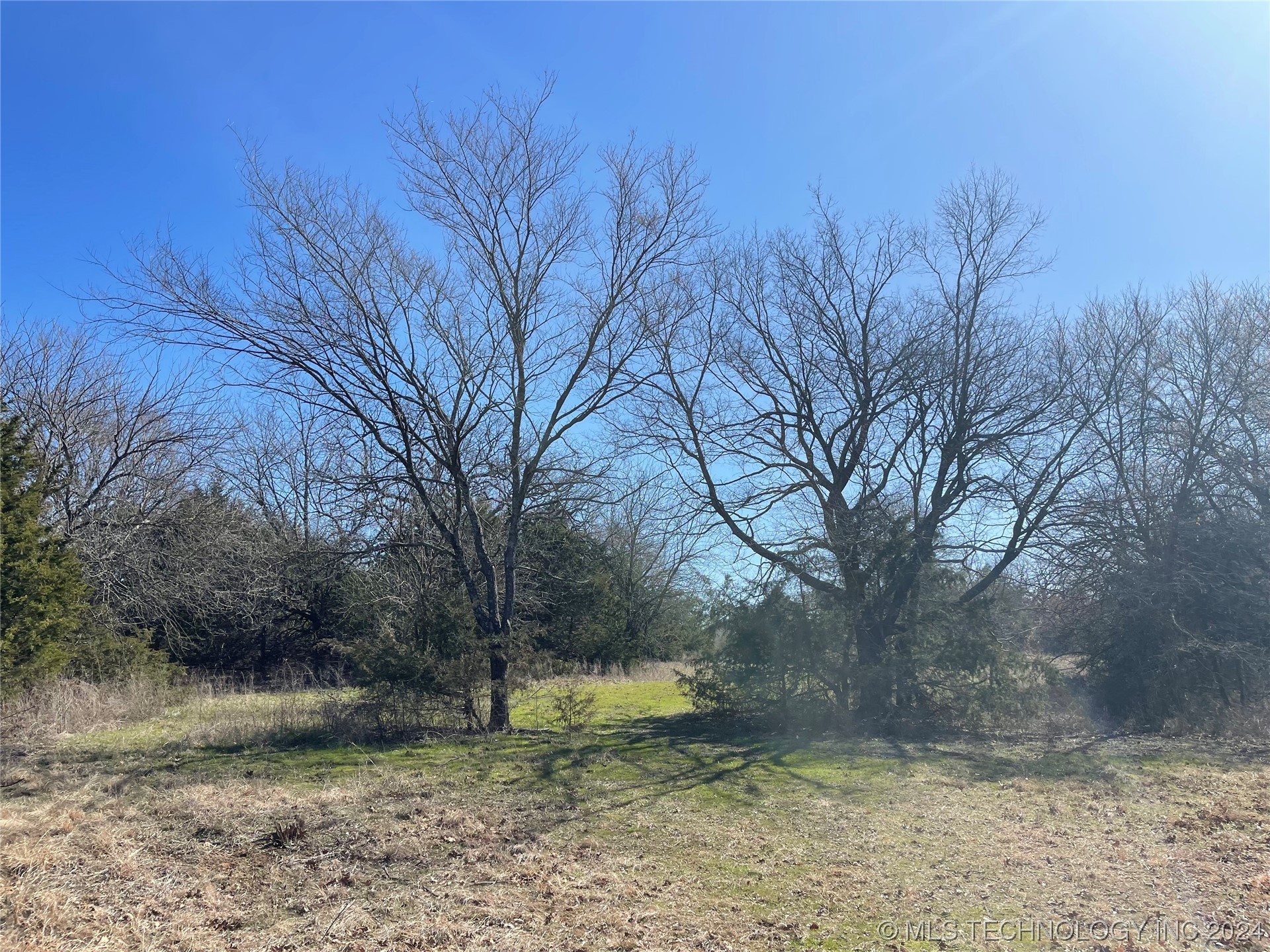 14175 County Road 3590