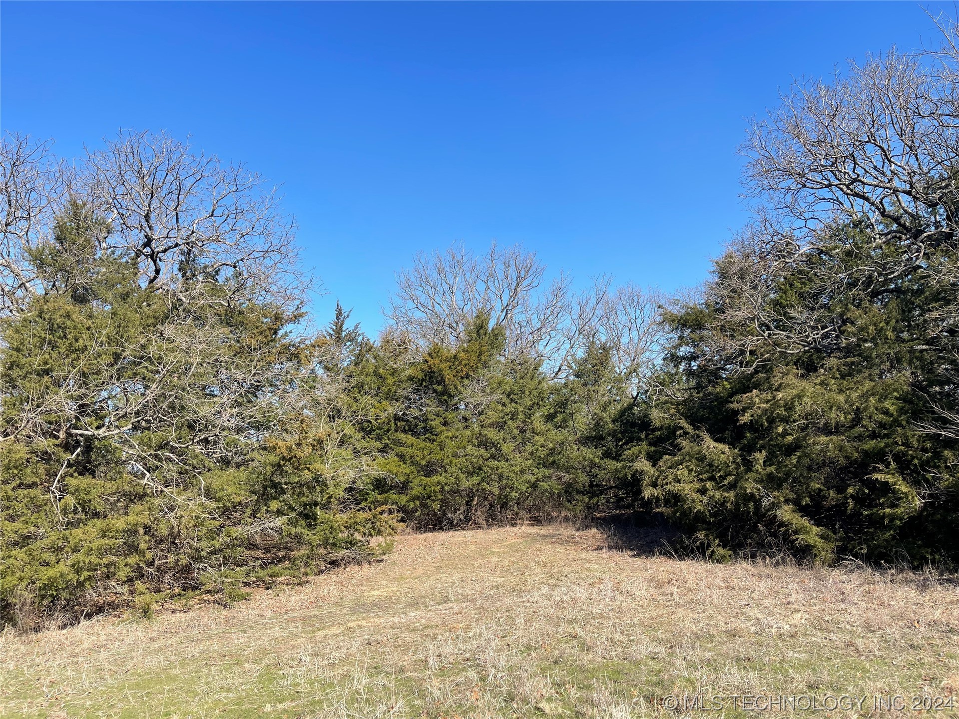 14175 County Road 3590