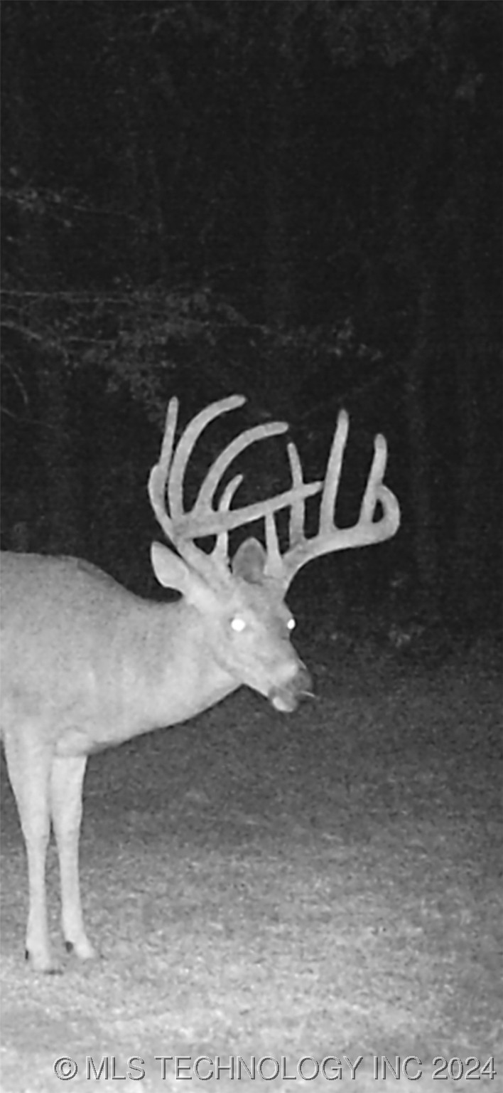 14175 County Road 3590