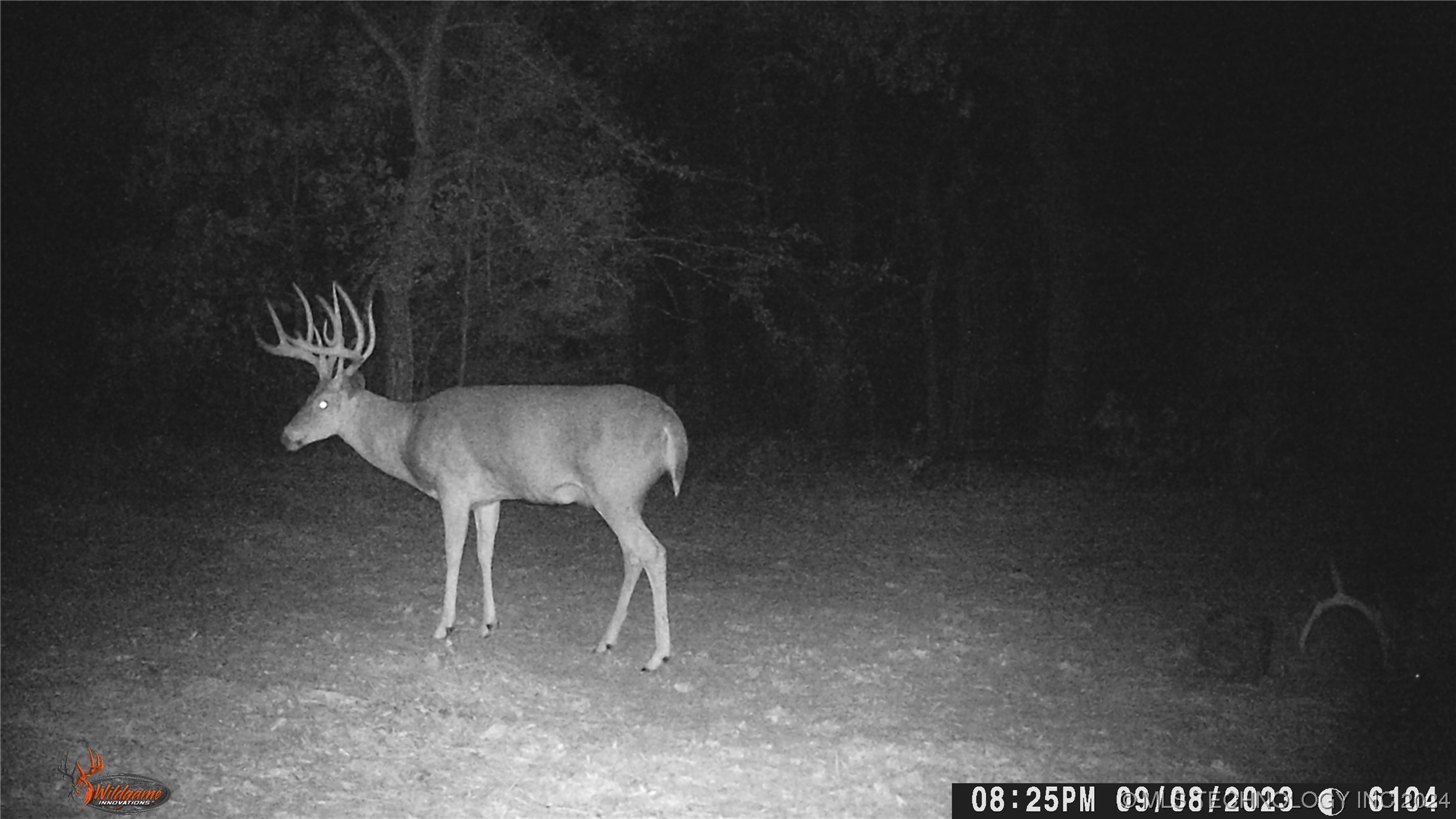 14175 County Road 3590