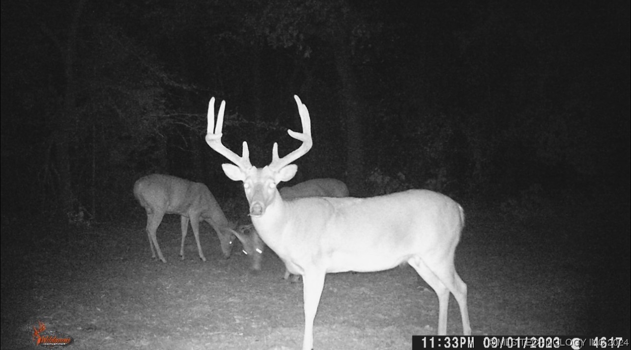 14175 County Road 3590