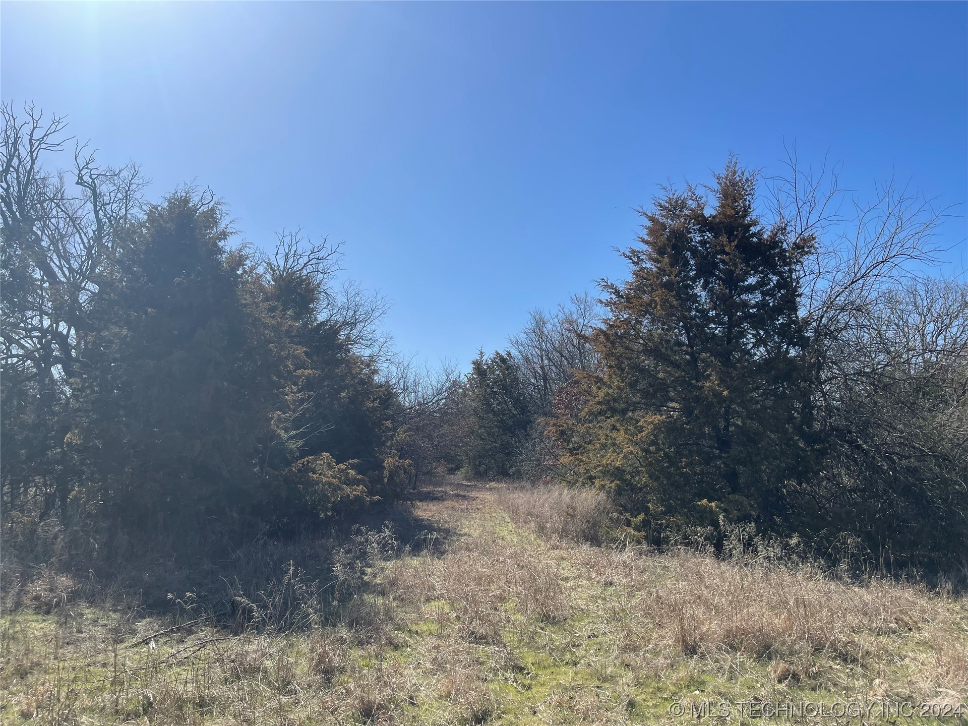 14175 County Road 3590