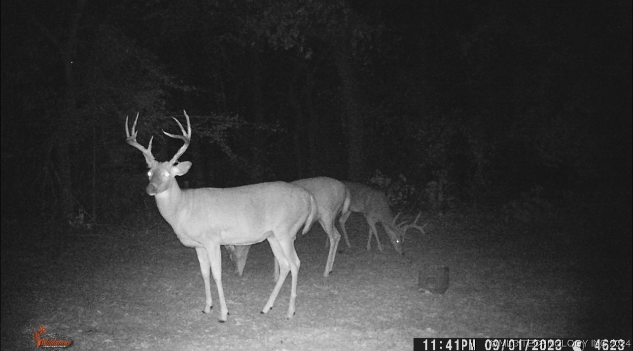 14175 County Road 3590