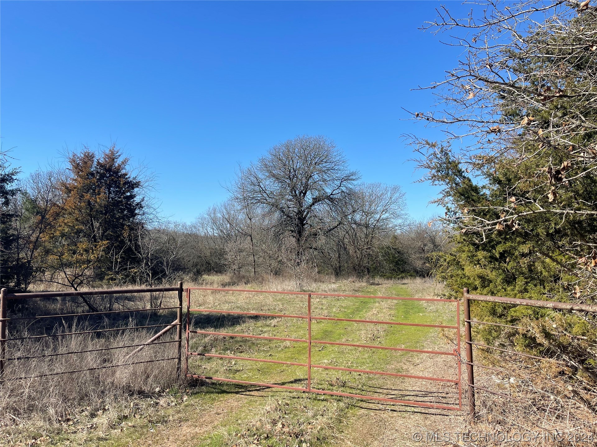 14175 County Road 3590