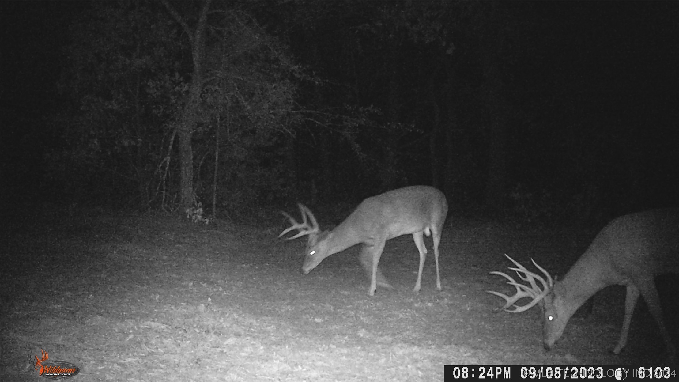 14175 County Road 3590