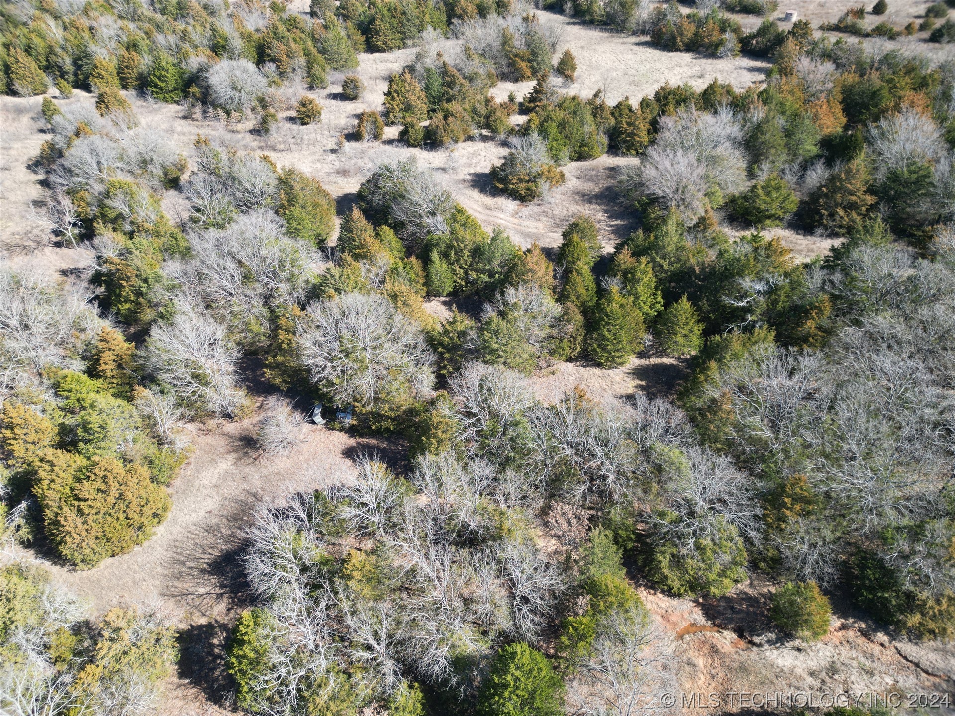 14175 County Road 3590