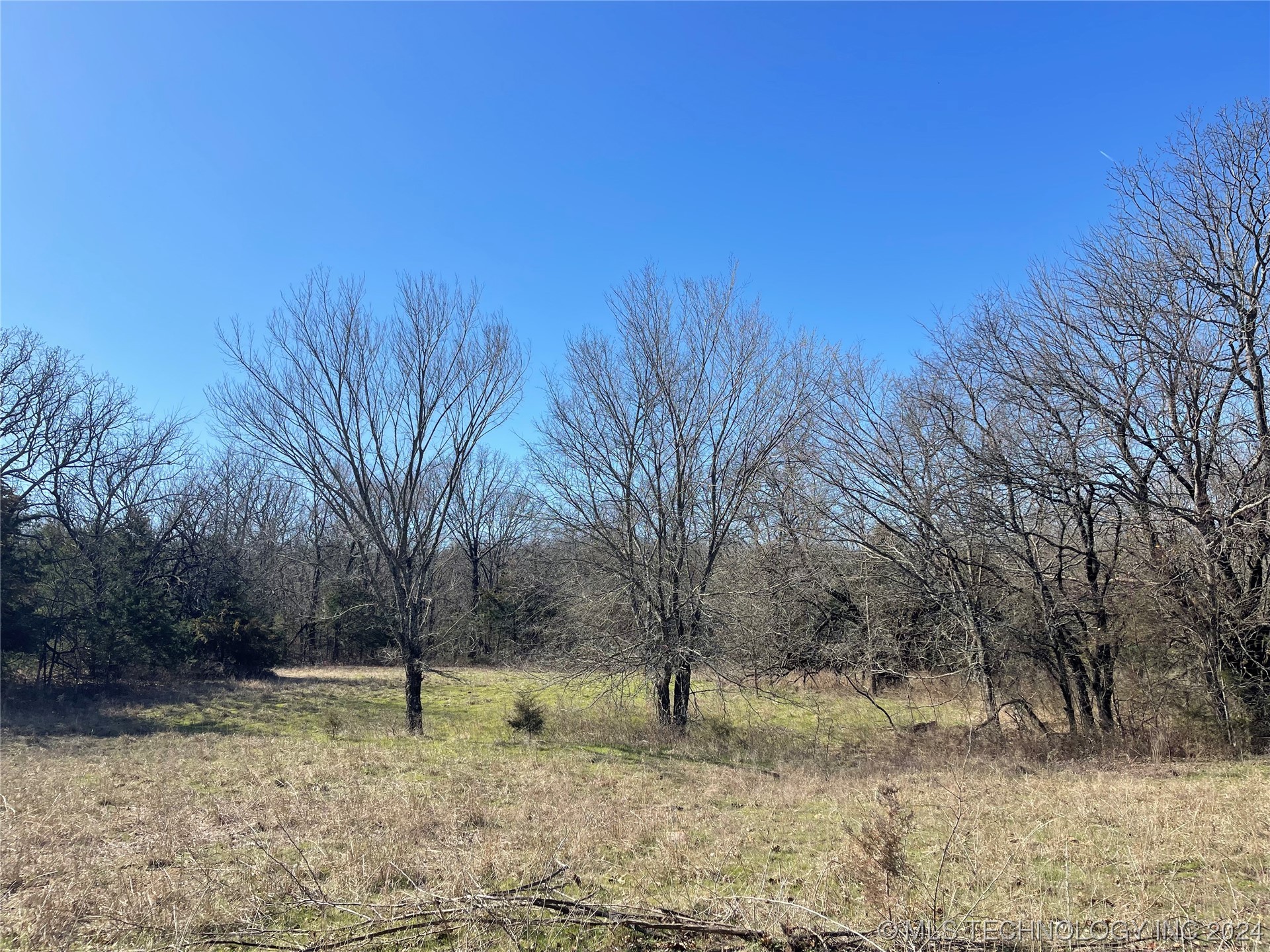 14175 County Road 3590