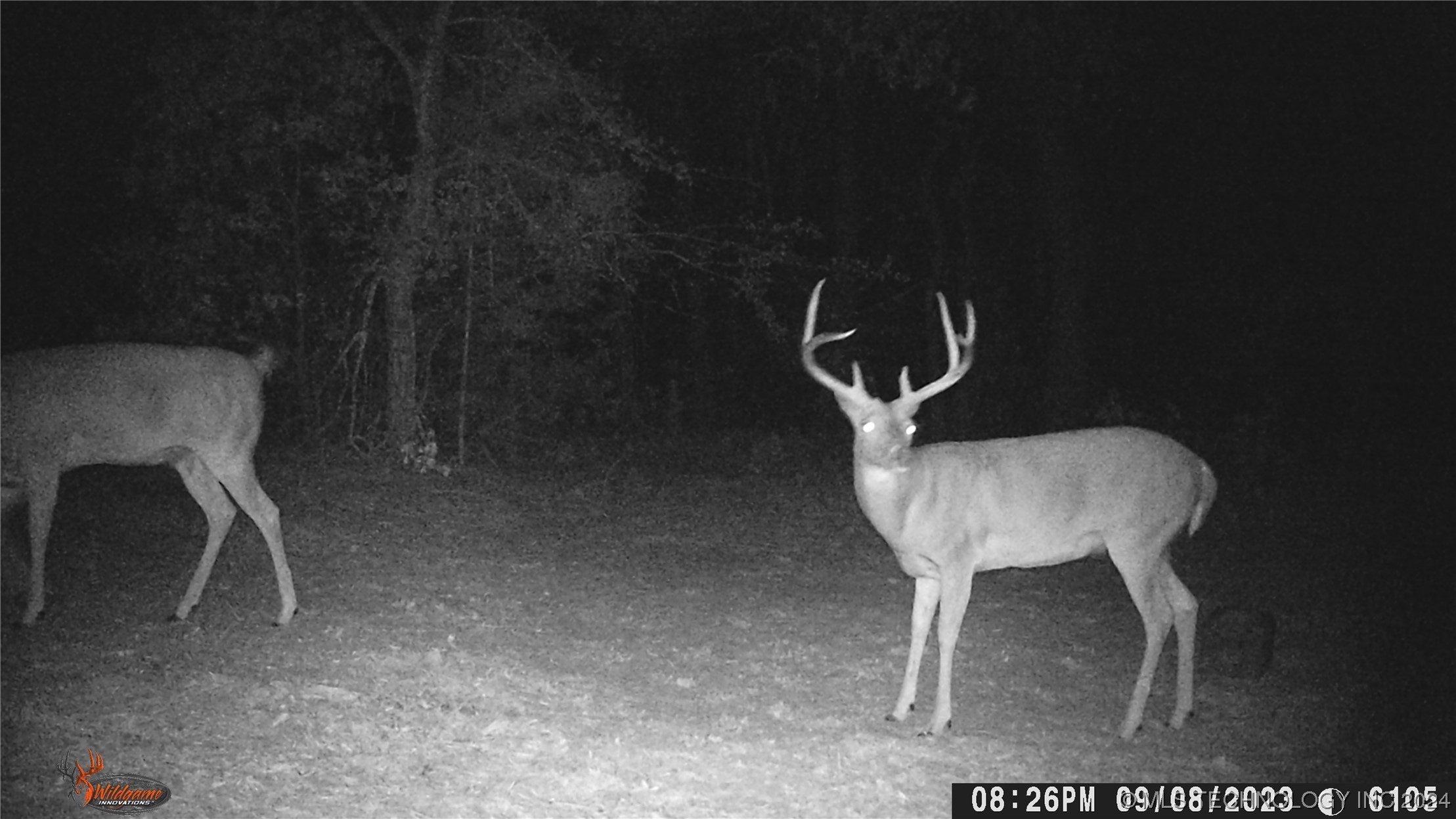 14175 County Road 3590