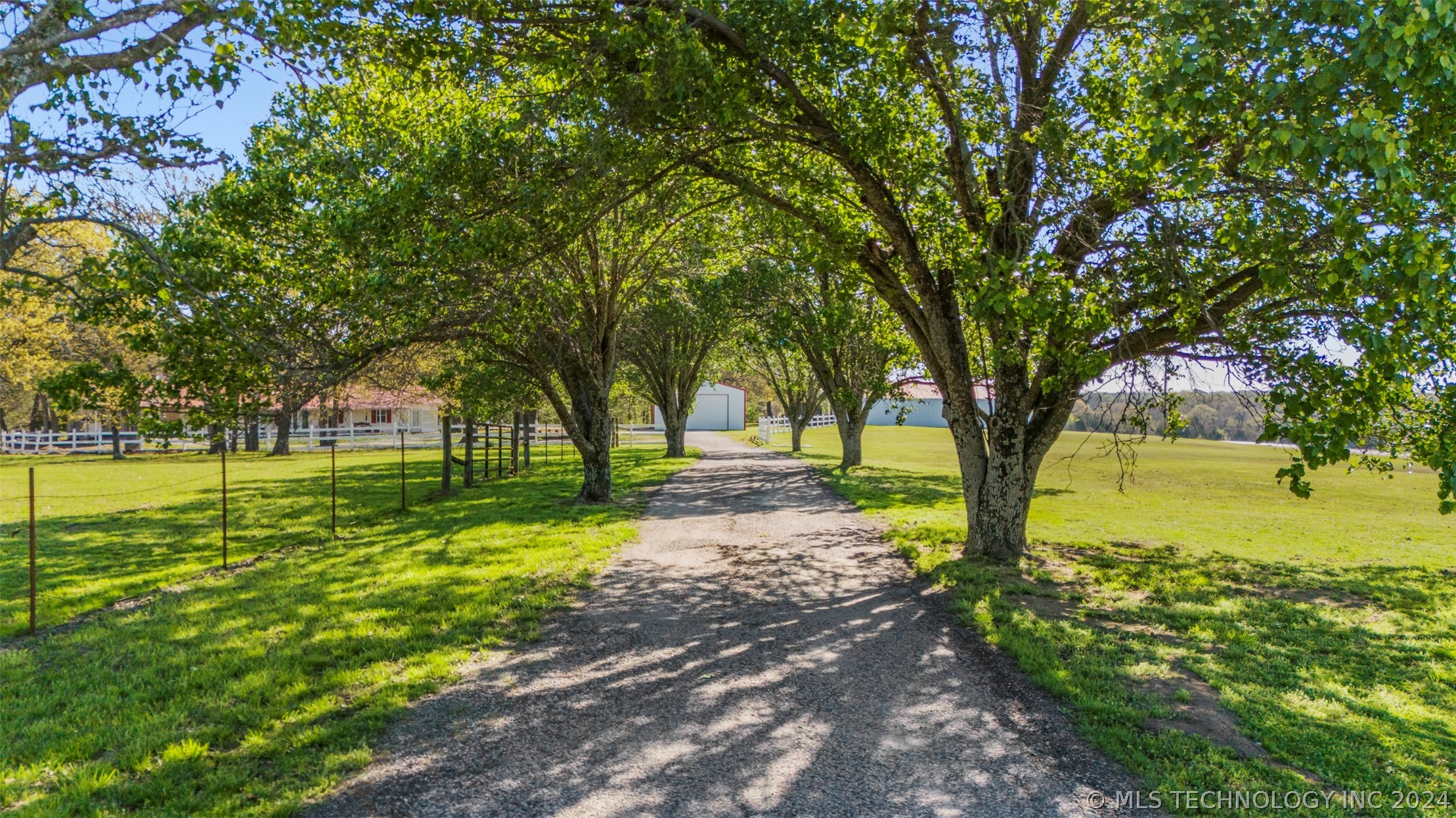 13224 County Road 3590